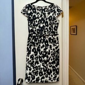 Db Established 1962 Leopard Print Dress, Size 12